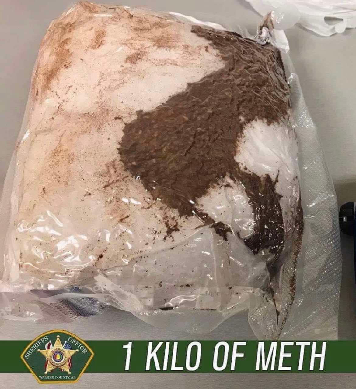 Drug enforcement operation photo 4